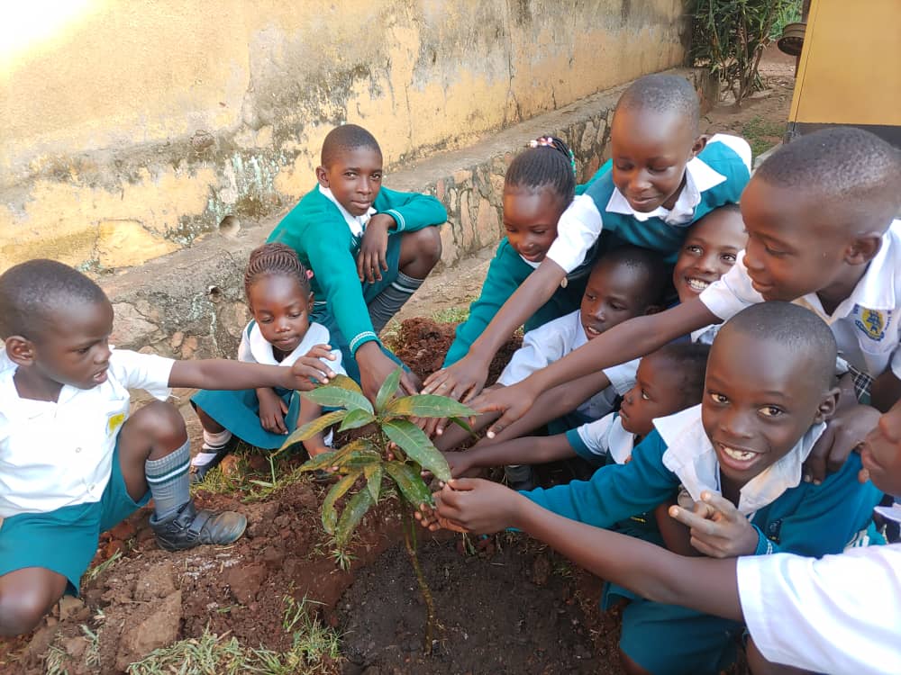 Tree planting